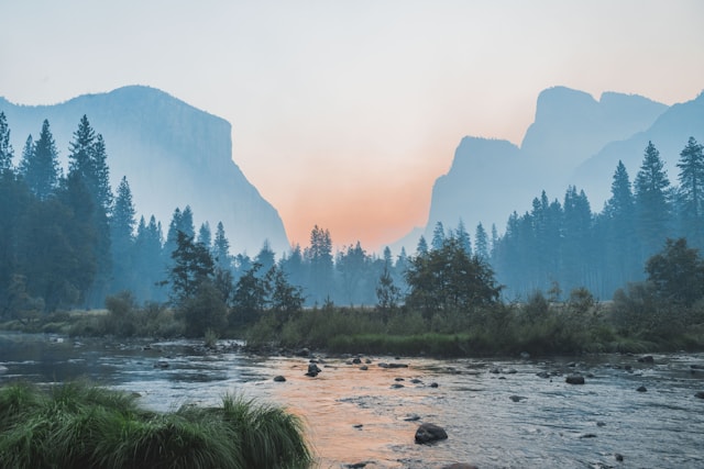 长安风雪录封面